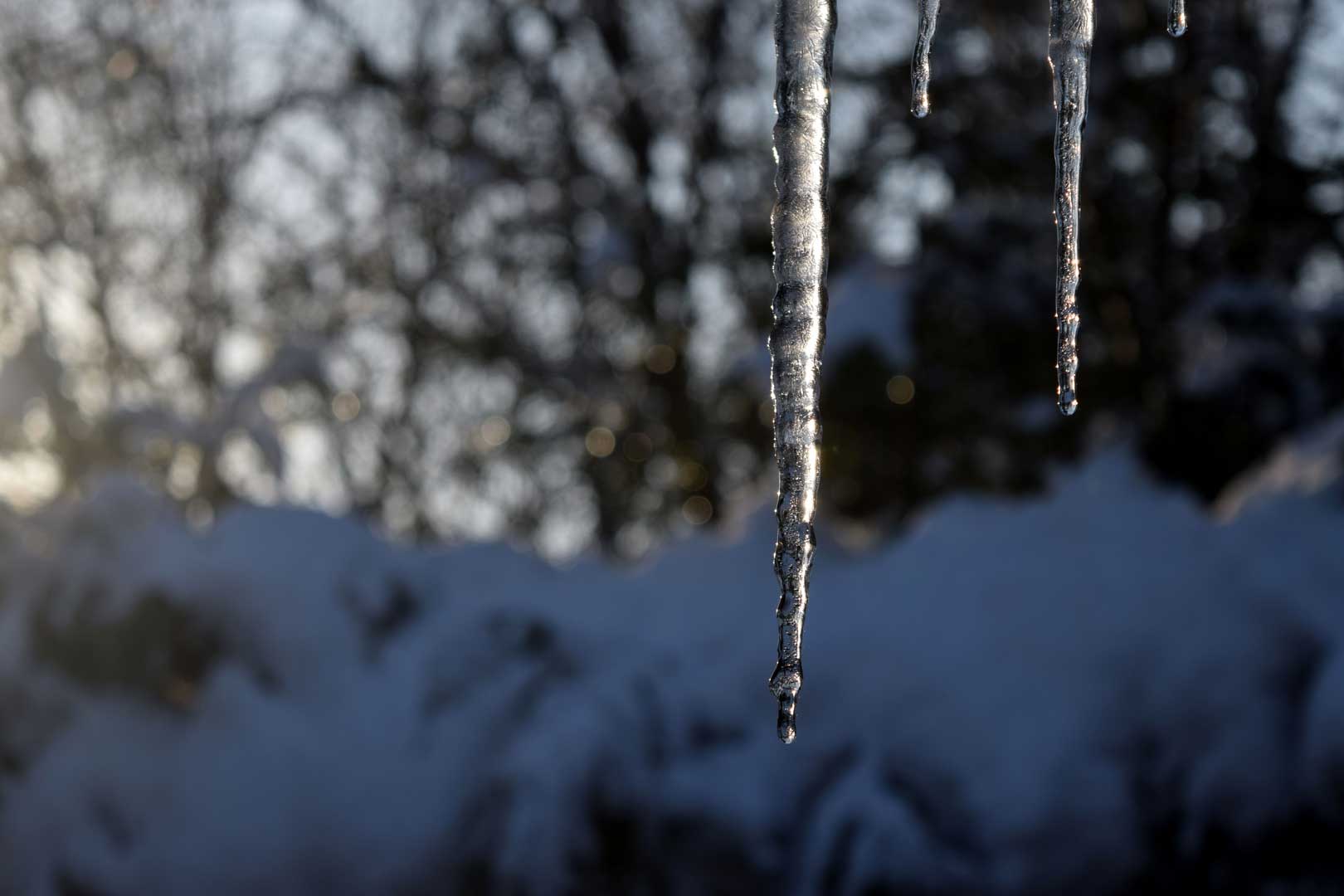 Icicles Hanging from the Roof